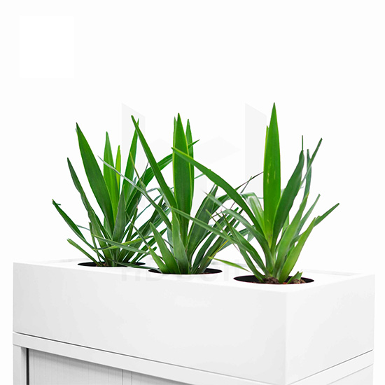 Planter Box